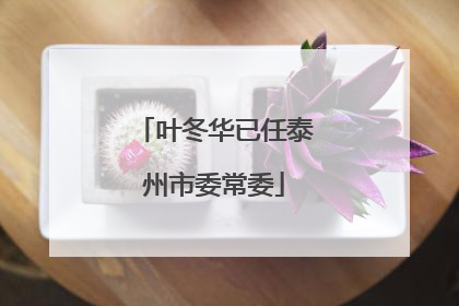 叶冬华已任泰州市委常委