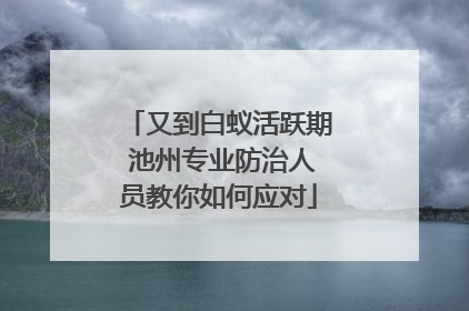又到白蚁活跃期 池州专业防治人员教你如何应对
