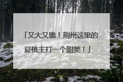 又大又脆！荆州这里的夏桃主打一个甜美！