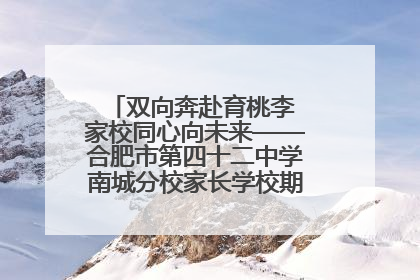 双向奔赴育桃李 家校同心向未来——合肥市第四十二中学南城分校家长学校期末总结会圆满召开