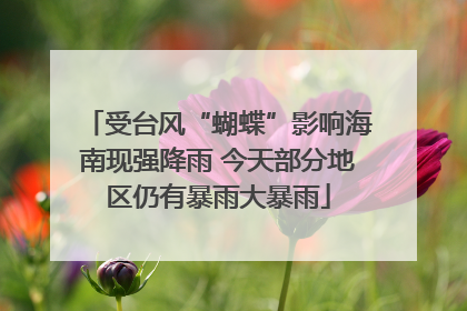 受台风“蝴蝶”影响海南现强降雨 今天部分地区仍有暴雨大暴雨