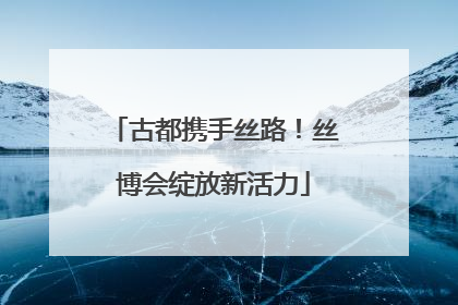 古都携手丝路！丝博会绽放新活力