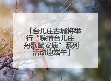 台儿庄古城将举行“粽情台儿庄 舟歌赋安康”系列活动迎端午