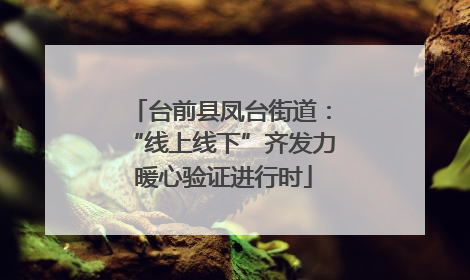 台前县凤台街道：“线上线下”齐发力 暖心验证进行时