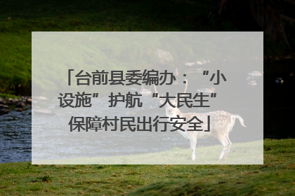 台前县委编办：“小设施”护航“大民生” 保障村民出行安全