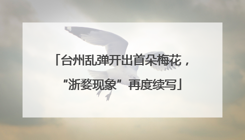 台州乱弹开出首朵梅花，“浙婺现象”再度续写