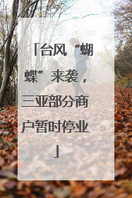 台风“蝴蝶”来袭，三亚部分商户暂时停业