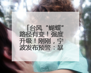 台风“蝴蝶”路径有变！强度升级！刚刚，宁波发布预警：暴雨！大暴雨！11级大风！