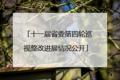 十一届省委第四轮巡视整改进展情况公开