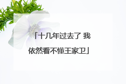 十几年过去了 我依然看不懂王家卫