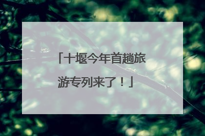 十堰今年首趟旅游专列来了！