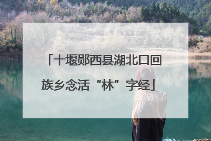 十堰郧西县湖北口回族乡念活“林”字经
