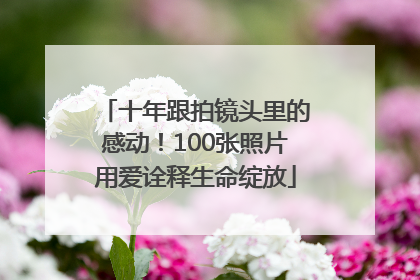十年跟拍镜头里的感动！100张照片用爱诠释生命绽放