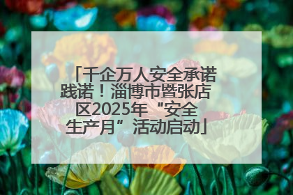 千企万人安全承诺践诺！淄博市暨张店区2025年“安全生产月”活动启动