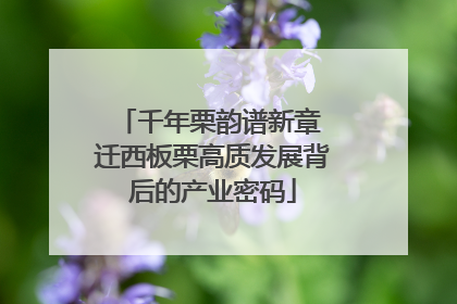 千年栗韵谱新章 迁西板栗高质发展背后的产业密码
