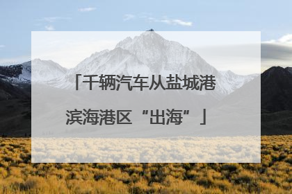千辆汽车从盐城港滨海港区“出海”
