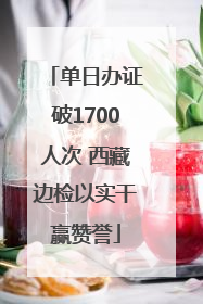 单日办证破1700人次 西藏边检以实干赢赞誉