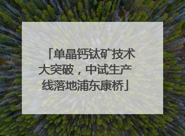 单晶钙钛矿技术大突破，中试生产线落地浦东康桥