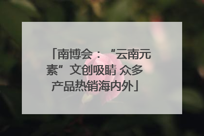 南博会：“云南元素”文创吸睛 众多产品热销海内外