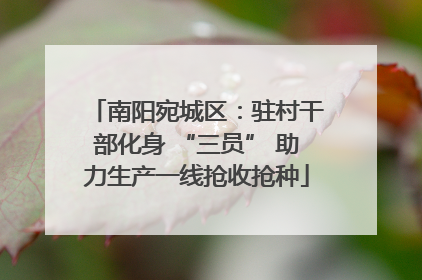 南阳宛城区：驻村干部化身 “三员” 助力生产一线抢收抢种