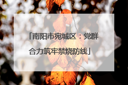 南阳市宛城区：党群合力筑牢禁烧防线