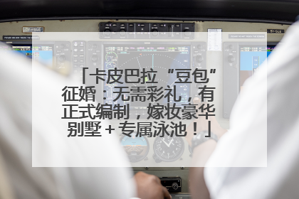 卡皮巴拉“豆包”征婚：无需彩礼，有正式编制，嫁妆豪华别墅＋专属泳池！