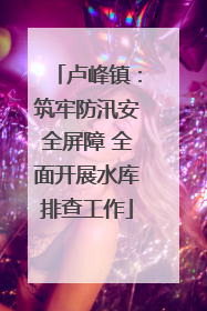 卢峰镇：筑牢防汛安全屏障 全面开展水库排查工作