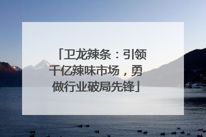 卫龙辣条：引领千亿辣味市场，勇做行业破局先锋