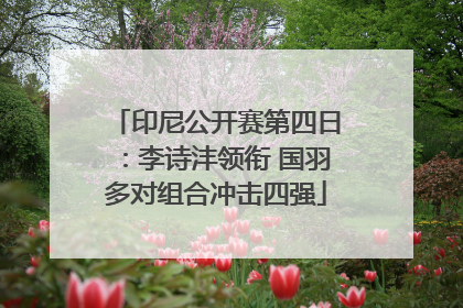 印尼公开赛第四日：李诗沣领衔 国羽多对组合冲击四强