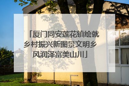 厦门同安莲花镇绘就乡村振兴新图景文明乡风润泽富美山川