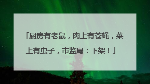 厨房有老鼠，肉上有苍蝇，菜上有虫子，市监局：下架！