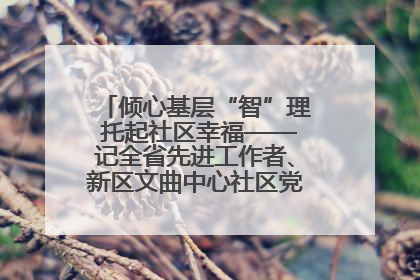 倾心基层“智”理 托起社区幸福——记全省先进工作者、新区文曲中心社区党委书记董世弘