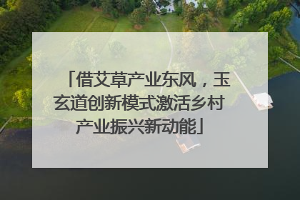 借艾草产业东风，玉玄道创新模式激活乡村产业振兴新动能