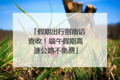 假期出行指南请查收！端午假期高速公路不免费