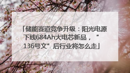 储能赛道竞争升级：阳光电源下线684Ah大电芯新品，“136号文”后行业将怎么走
