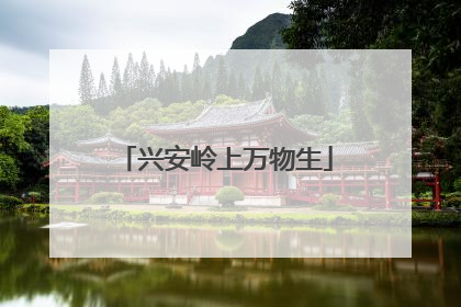 兴安岭上万物生