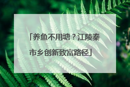 养鱼不用塘？江陵秦市乡创新致富路径