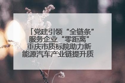 党建引领“全链条” 服务企业“零距离” 重庆市质标院助力新能源汽车产业链提升质量管理水平