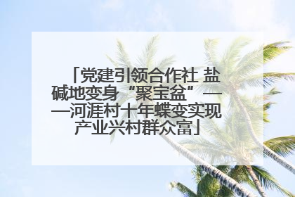 党建引领合作社 盐碱地变身“聚宝盆”——河涯村十年蝶变实现产业兴村群众富