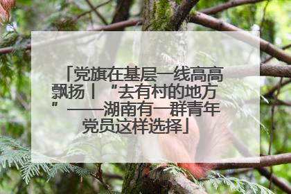 党旗在基层一线高高飘扬丨“去有村的地方”——湖南有一群青年党员这样选择