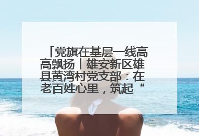 党旗在基层一线高高飘扬丨雄安新区雄县黄湾村党支部：在老百姓心里，筑起“一座山”