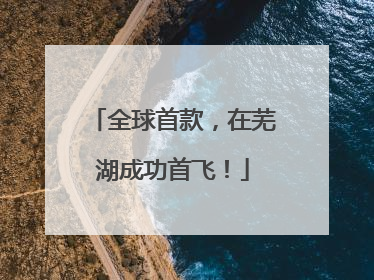 全球首款，在芜湖成功首飞！