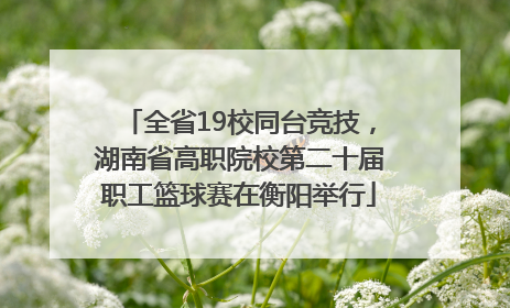 全省19校同台竞技，湖南省高职院校第二十届职工篮球赛在衡阳举行