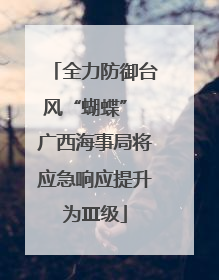 全力防御台风“蝴蝶” 广西海事局将应急响应提升为Ⅲ级