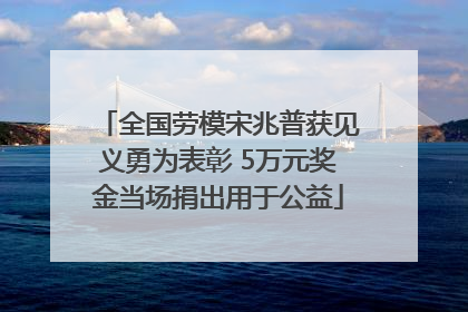 全国劳模宋兆普获见义勇为表彰 5万元奖金当场捐出用于公益