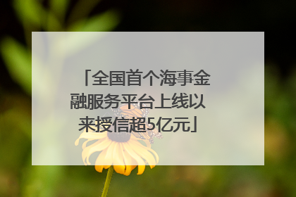 全国首个海事金融服务平台上线以来授信超5亿元