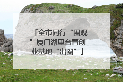全市同行“围观”厦门湖里台青创业基地“出圈”