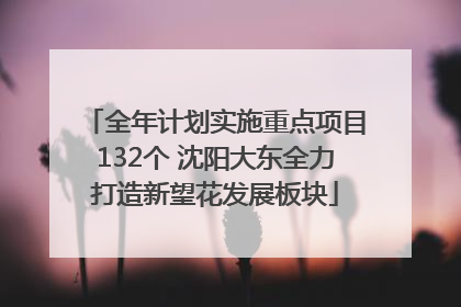 全年计划实施重点项目132个 沈阳大东全力打造新望花发展板块