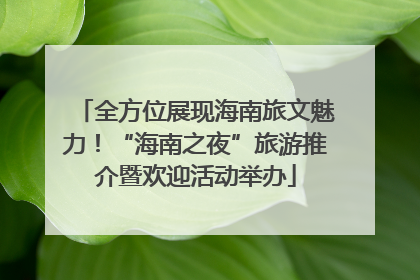全方位展现海南旅文魅力！“海南之夜”旅游推介暨欢迎活动举办