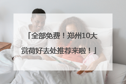 全部免费！郑州10大赏荷好去处推荐来啦！
